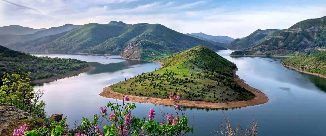 pexels photo 225203(1)